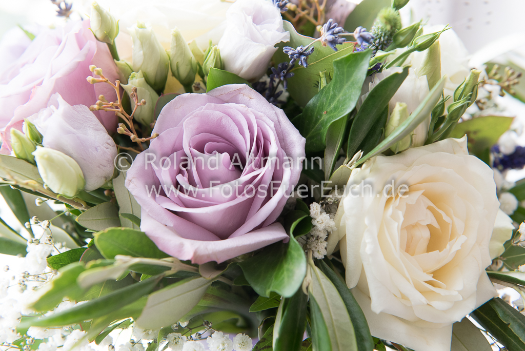 Preview 20160820_Roland_Altmann_7503764.jpg