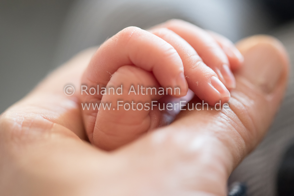 Preview 20171114_Roland_Altmann_7508025.jpg