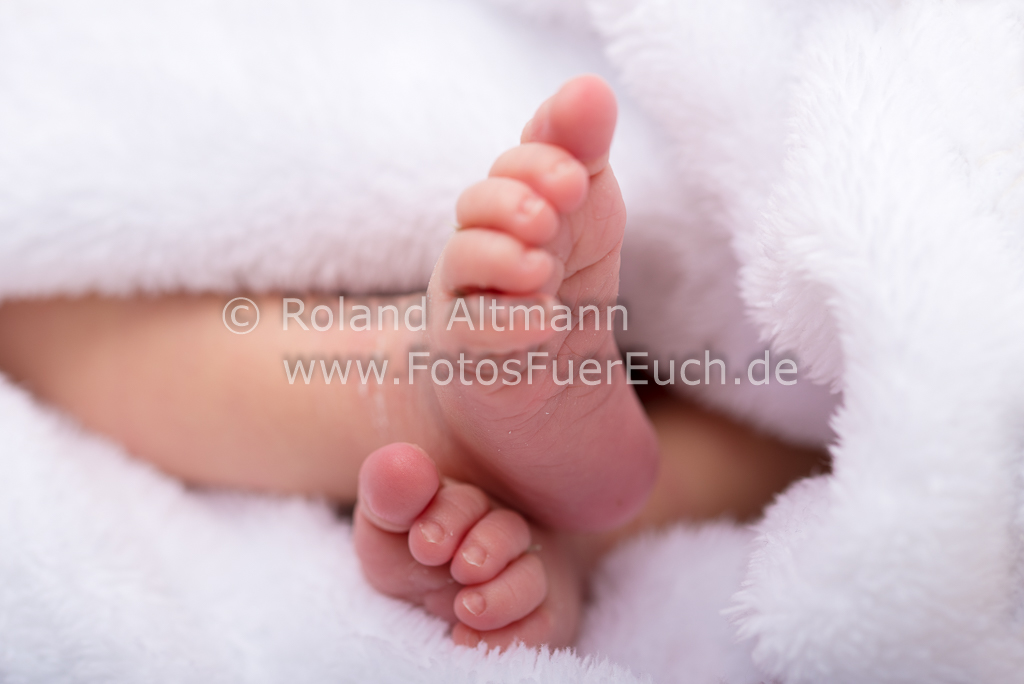 Preview 20171120_Roland_Altmann_7508519.jpg