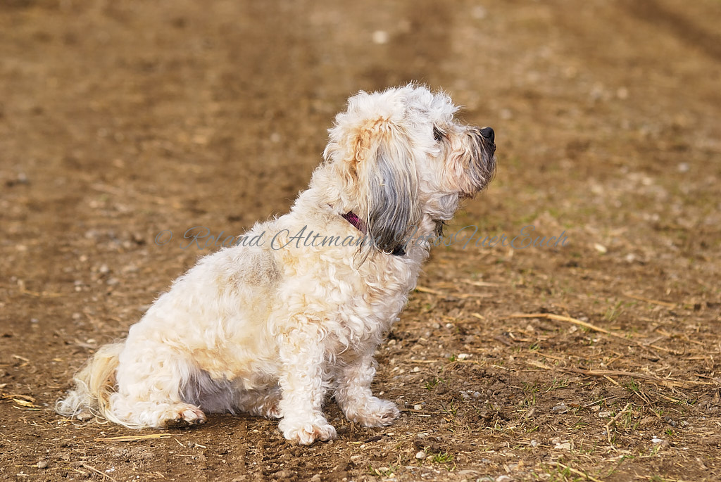 Preview 08Mrz2008_1477.jpg