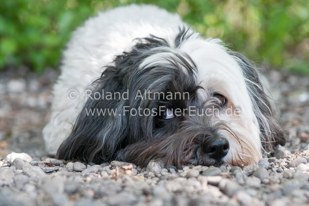 Preview 20120428_DSC2779.jpg