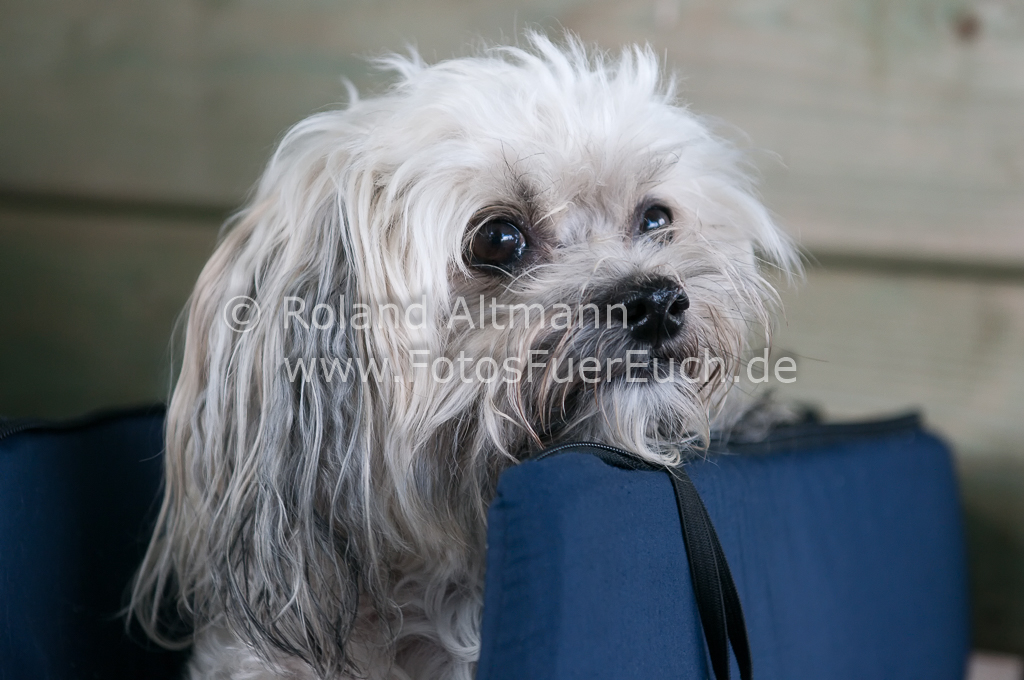 Preview 20120901-_3004032.jpg