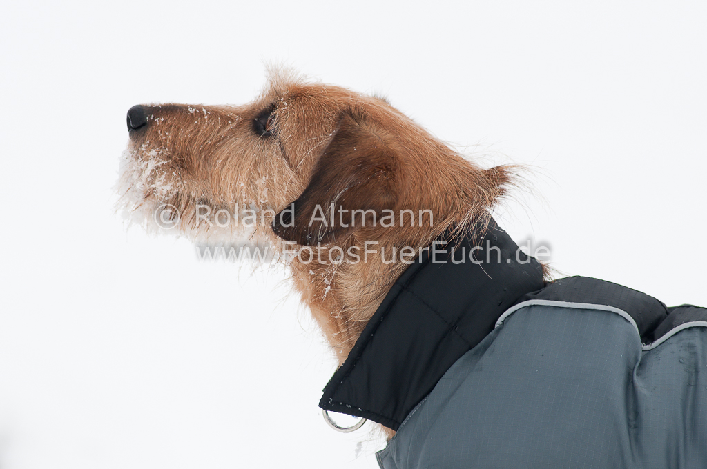 Preview 20130118_3004770.jpg