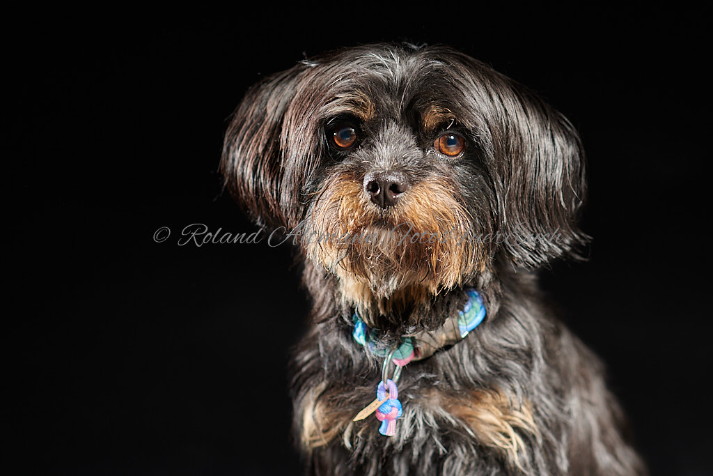 Preview 20210723_Roland_Altmann_8501999.jpg