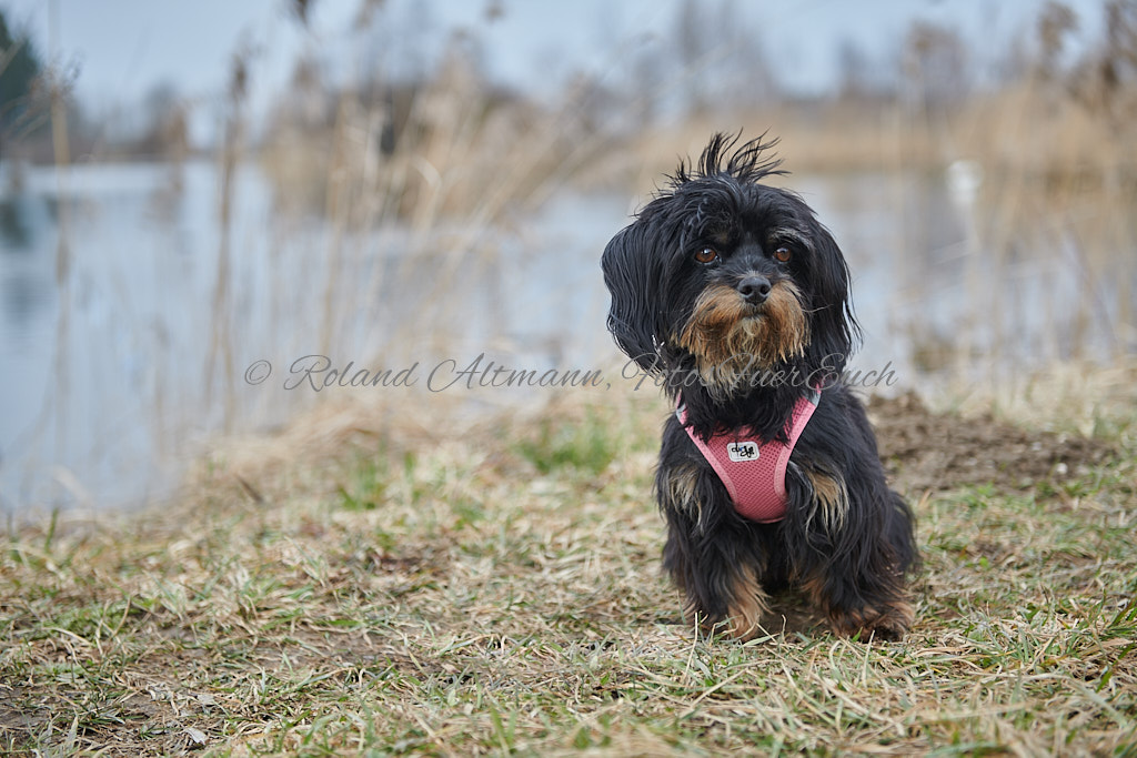 Preview 20230305_Roland_Altmann_8504501.jpg