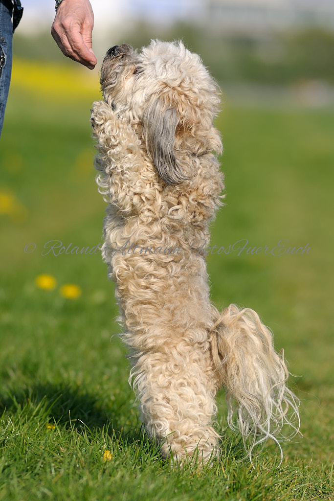 Preview _DSC3583_20110423_877.jpg