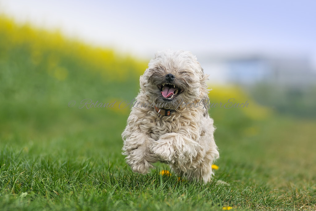 Preview _DSC3740_20110424_1015.jpg