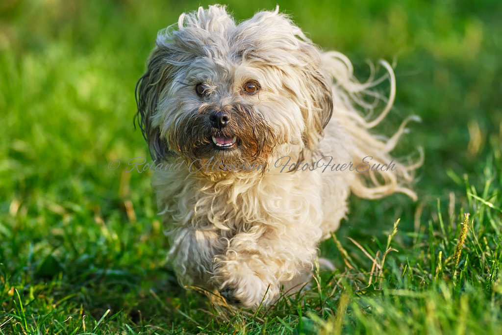 Preview _DSC5122_2009-08-07-7945.jpg